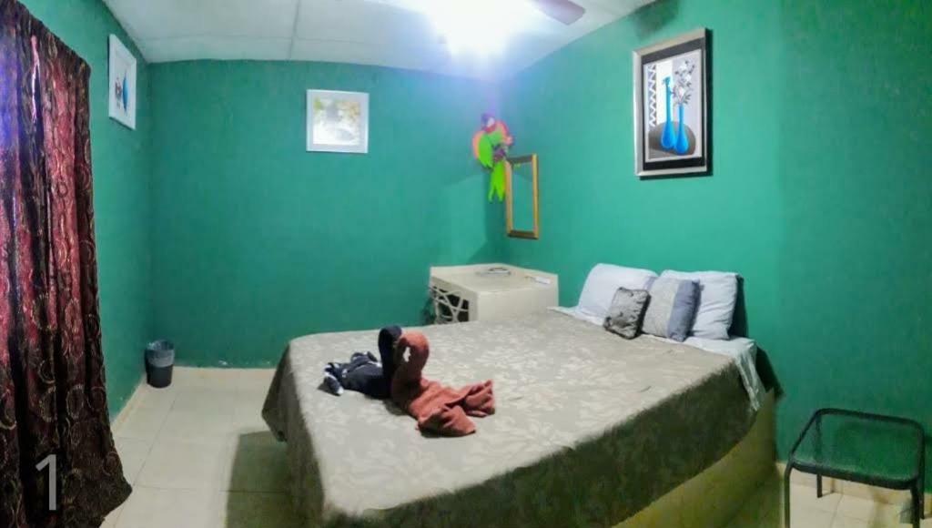 Windmill Hostal El Valle de Anton Dış mekan fotoğraf